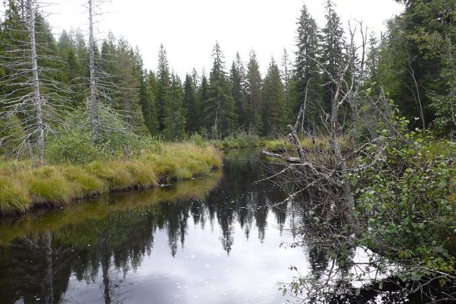 Lyån.