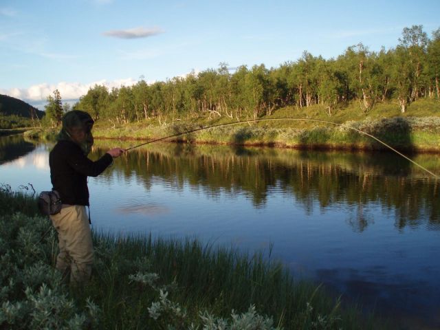 P1010074.JPG