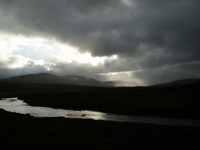 P1010037.JPG