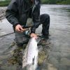 lax