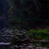 T�lamod