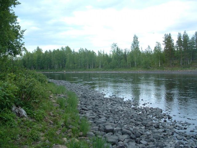 Laxfiske i Byske -04 008.jpg Laxfiske i Byske -04 008.jpg