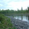 Laxfiske i Byske -04 008.jpg
