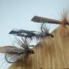 3 Adult Caddis 3 Adult Caddis