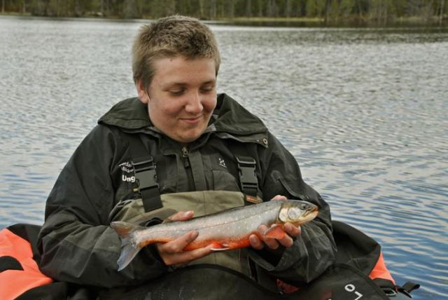 Dagens finaste fisk
