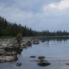 Action-harr fr�n Lais�lven