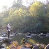 Mellanstr�mmen, sk�rblacka 101003