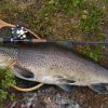 Fiskelycka �r en f�r liten h�v.