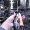 smyg fiske