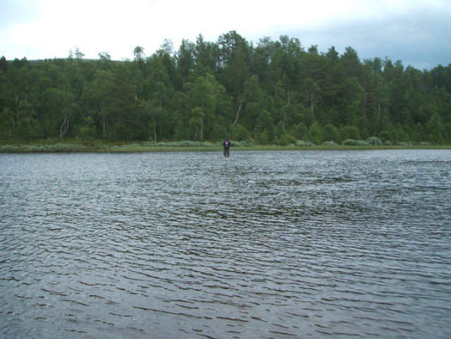 Norge 2010