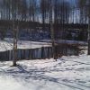 Min �rspremi�r 2011