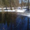 Min �rspremi�r 2011 