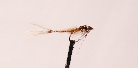 DSC 0109