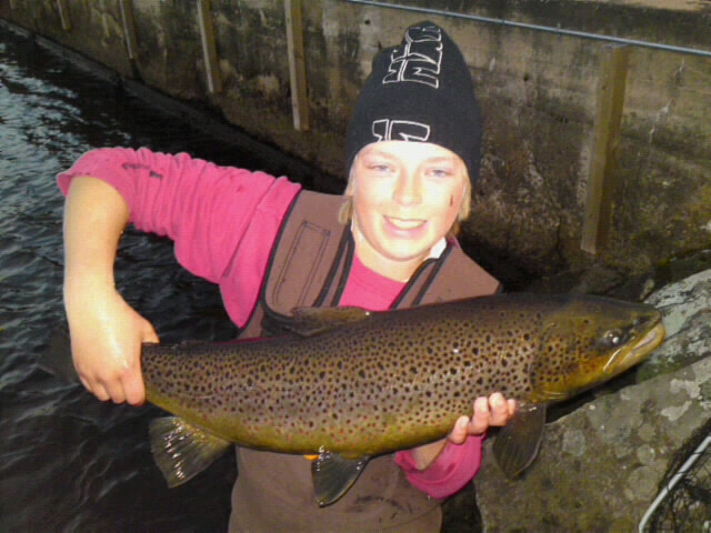 ORING 4,4KG