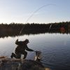 DSC 0007