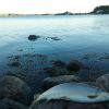 Sommar�ring p� Styrs�