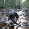 Harrfiske Galv�n.