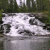 DSCN0704