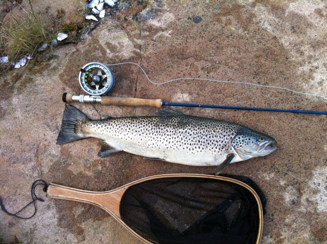 3054g i annan vinkel :)
