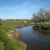 Torrflugefiske i April. b�cksl�ndor kl�ckte.