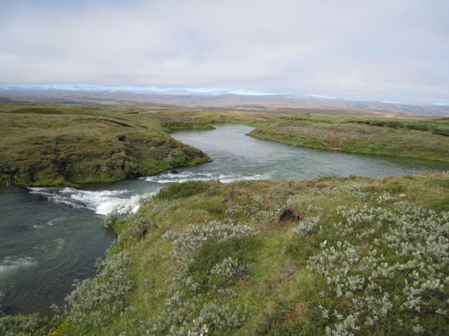 IMG 0604
