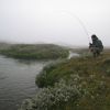 IMG 0637