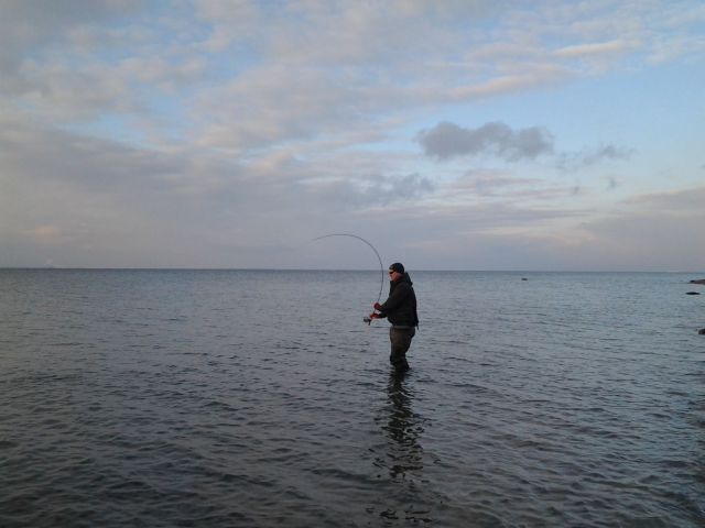 2012 01 26 14.18.50