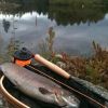 1a fisk på fluga 1a fisk på fluga