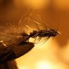 IMG 1852 IMG 1852