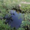 IMG 8142 IMG 8142