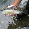Photo 0032