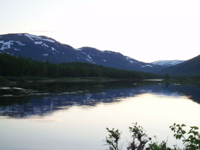 Vindelälven, Vitnjul