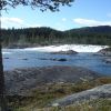 0808   Fiske 124