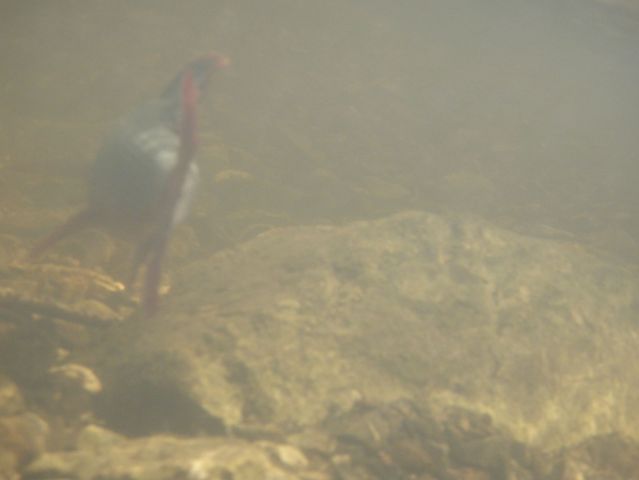 P5060322