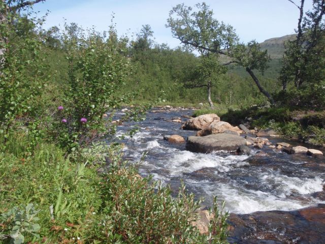 storulvån