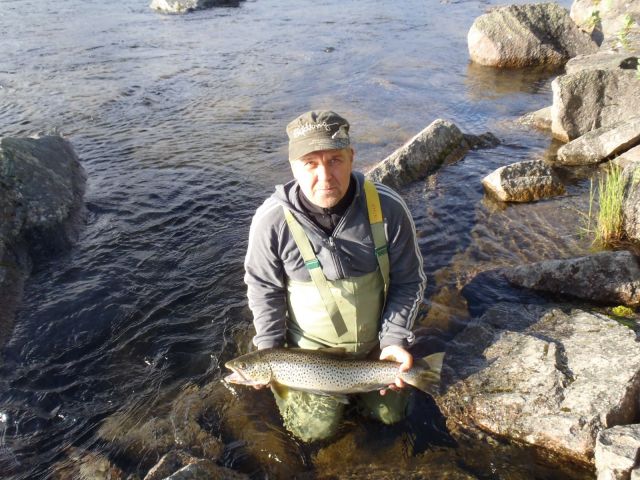 Öring ca 3.5 kg