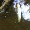 bild (3) bild (3)