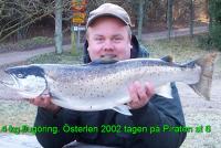 Bifogad bild: _ring.jpg