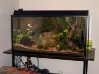 Bifogad bild: PICT0547__Large_.JPG