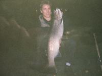 Bifogad bild: oring_8.JPG