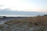 Bifogad bild: DSC_2116.jpg