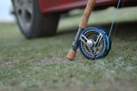 Bifogad bild: DSC_2119.jpg