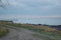 Bifogad bild: DSC_2121.jpg