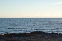 Bifogad bild: DSC_2122.jpg