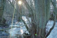 Bifogad bild: DSC_2142.jpg