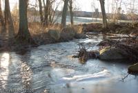 Bifogad bild: DSC_2158.jpg
