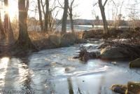 Bifogad bild: DSC_2161.jpg