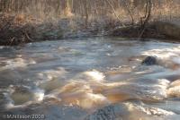 Bifogad bild: DSC_2162.jpg