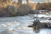 Bifogad bild: DSC_2165.jpg