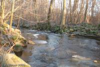 Bifogad bild: DSC_2166.jpg